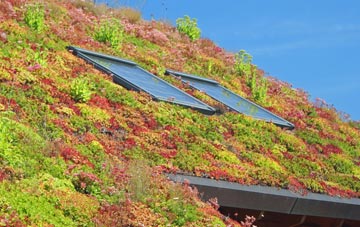 Saltfleetby St Peter living roof systems