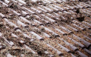 Saltfleetby St Peter roof cleaning companies