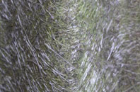 Saltfleetby St Peter fibreglass roof work